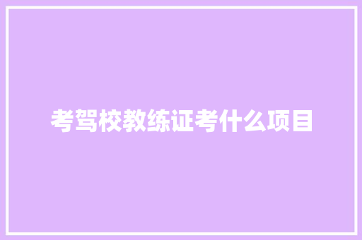 考驾校教练证考什么项目 未命名