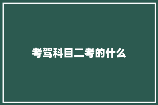 考驾科目二考的什么