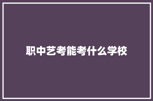 职中艺考能考什么学校