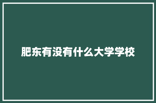 肥东有没有什么大学学校 未命名