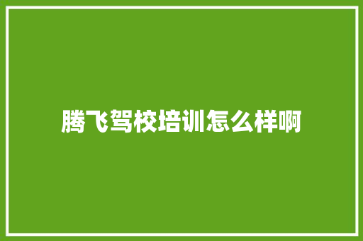 腾飞驾校培训怎么样啊 未命名