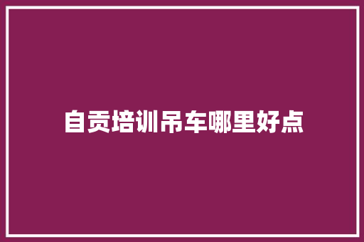 自贡培训吊车哪里好点 未命名