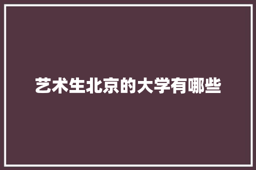 艺术生北京的大学有哪些 未命名