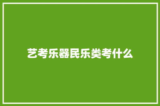 艺考乐器民乐类考什么 未命名