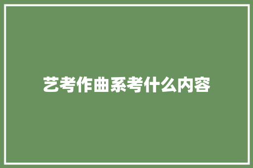 艺考作曲系考什么内容 未命名