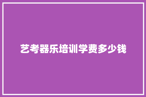 艺考器乐培训学费多少钱