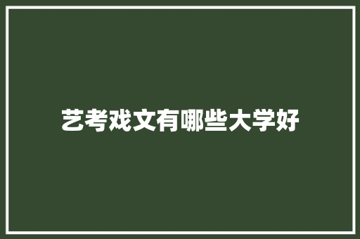 艺考戏文有哪些大学好