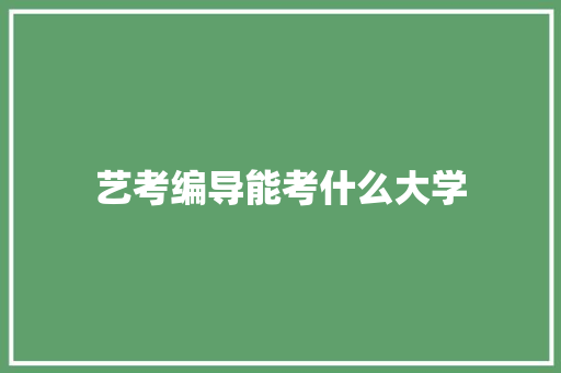 艺考编导能考什么大学 未命名