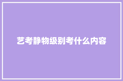 艺考静物级别考什么内容 未命名