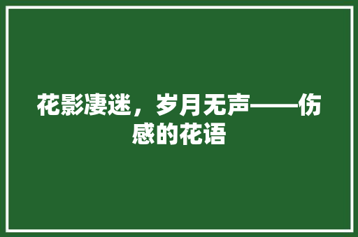 花影凄迷，岁月无声——伤感的花语 未命名