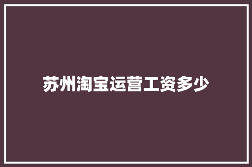 苏州淘宝运营工资多少