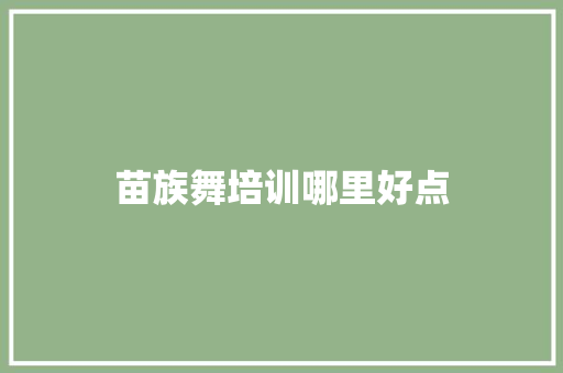 苗族舞培训哪里好点