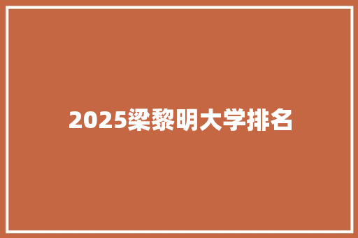 2025梁黎明大学排名