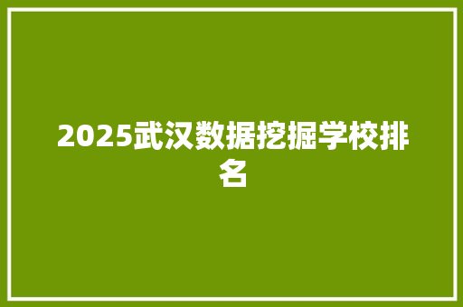 2025武汉数据挖掘学校排名