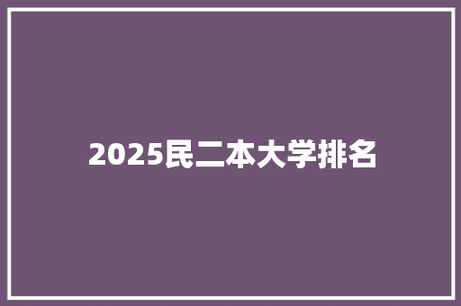 2025民二本大学排名