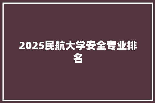 2025民航大学安全专业排名