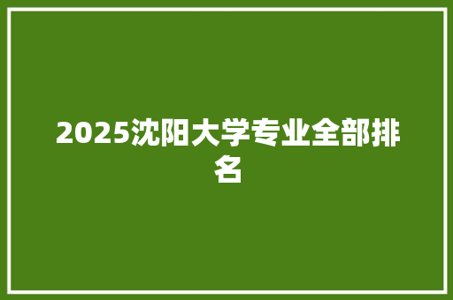 2025沈阳大学专业全部排名