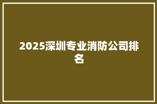 2025深圳专业消防公司排名 致辞范文