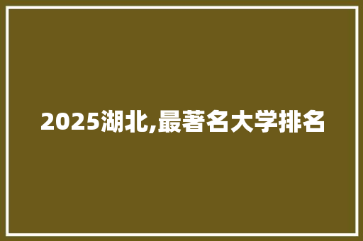 2025湖北,最著名大学排名