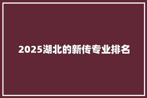 2025湖北的新传专业排名