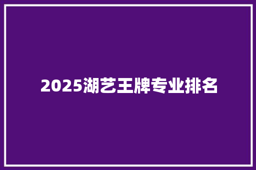 2025湖艺王牌专业排名