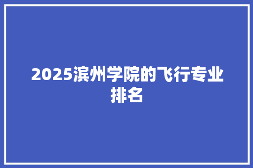 2025滨州学院的飞行专业排名