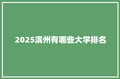 2025滨州有哪些大学排名