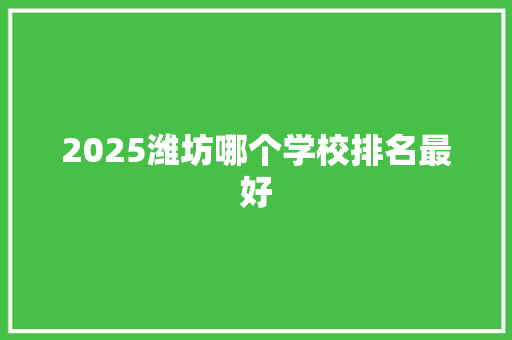 2025潍坊哪个学校排名最好 申请书范文