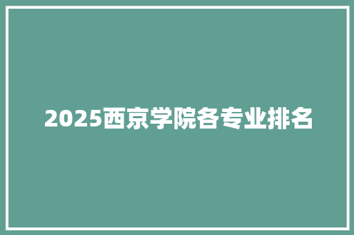 2025西京学院各专业排名