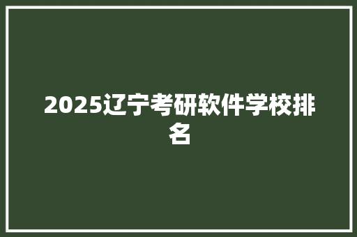 2025辽宁考研软件学校排名 综述范文