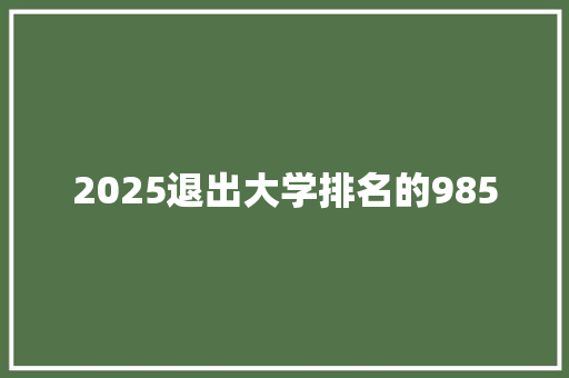 2025退出大学排名的985 综述范文