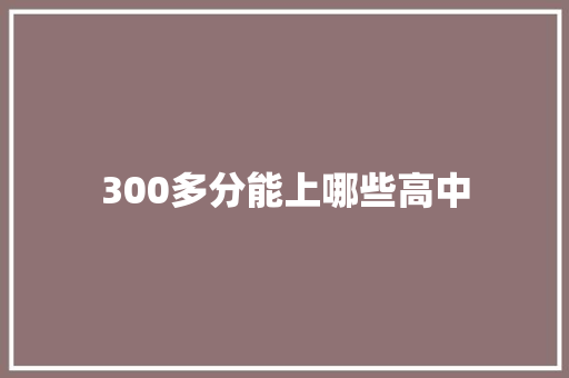 300多分能上哪些高中 学术范文