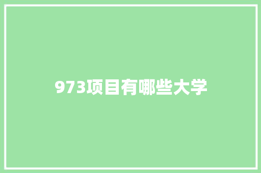 973项目有哪些大学 学术范文