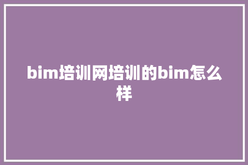 bim培训网培训的bim怎么样 学术范文