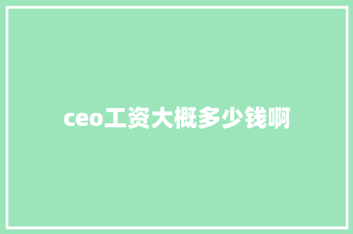 ceo工资大概多少钱啊 学术范文