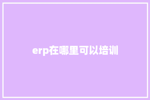 erp在哪里可以培训 学术范文