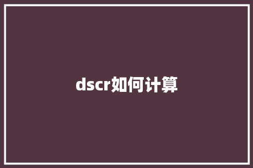 dscr如何计算 学术范文