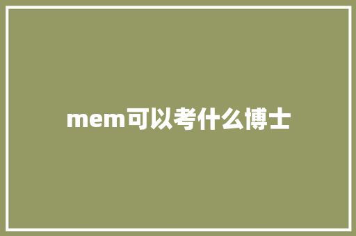 mem可以考什么博士 学术范文