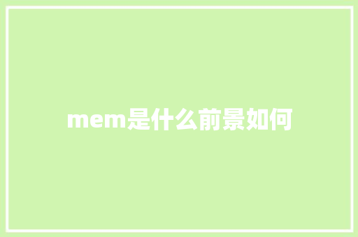 mem是什么前景如何