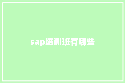 sap培训班有哪些 学术范文