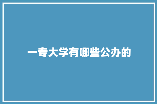 一专大学有哪些公办的