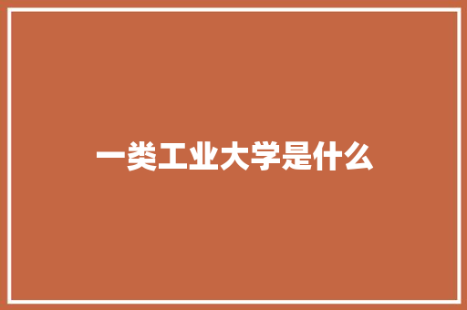 一类工业大学是什么 学术范文