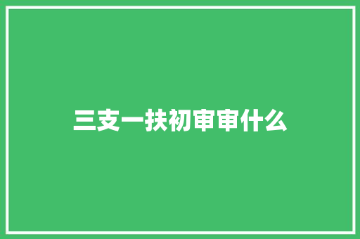 三支一扶初审审什么