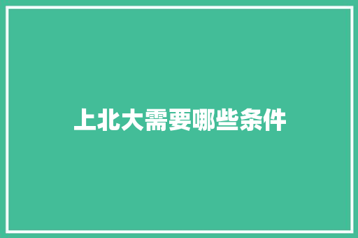 上北大需要哪些条件 学术范文