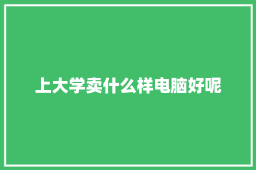 上大学卖什么样电脑好呢 学术范文