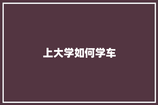 上大学如何学车 学术范文