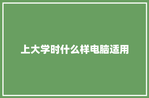 上大学时什么样电脑适用 学术范文