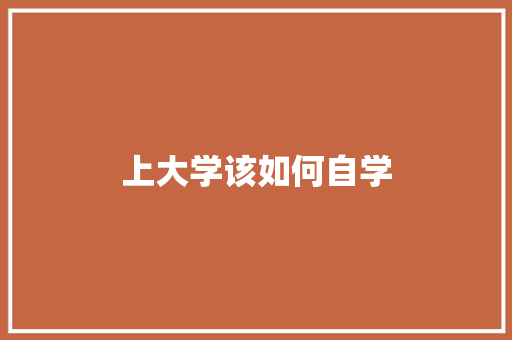 上大学该如何自学