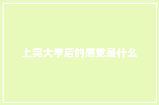 上完大学后的感觉是什么 学术范文