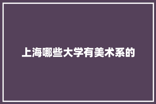 上海哪些大学有美术系的